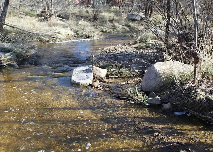 Creek Side 1 Mile From Downtown And Hiking